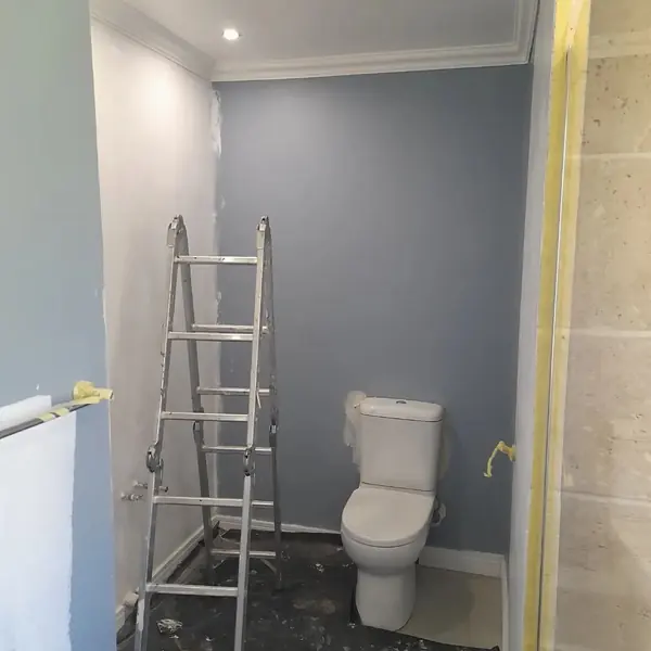 Before. Painting job: toilet room, blue walls, ladder, tape, one wall white